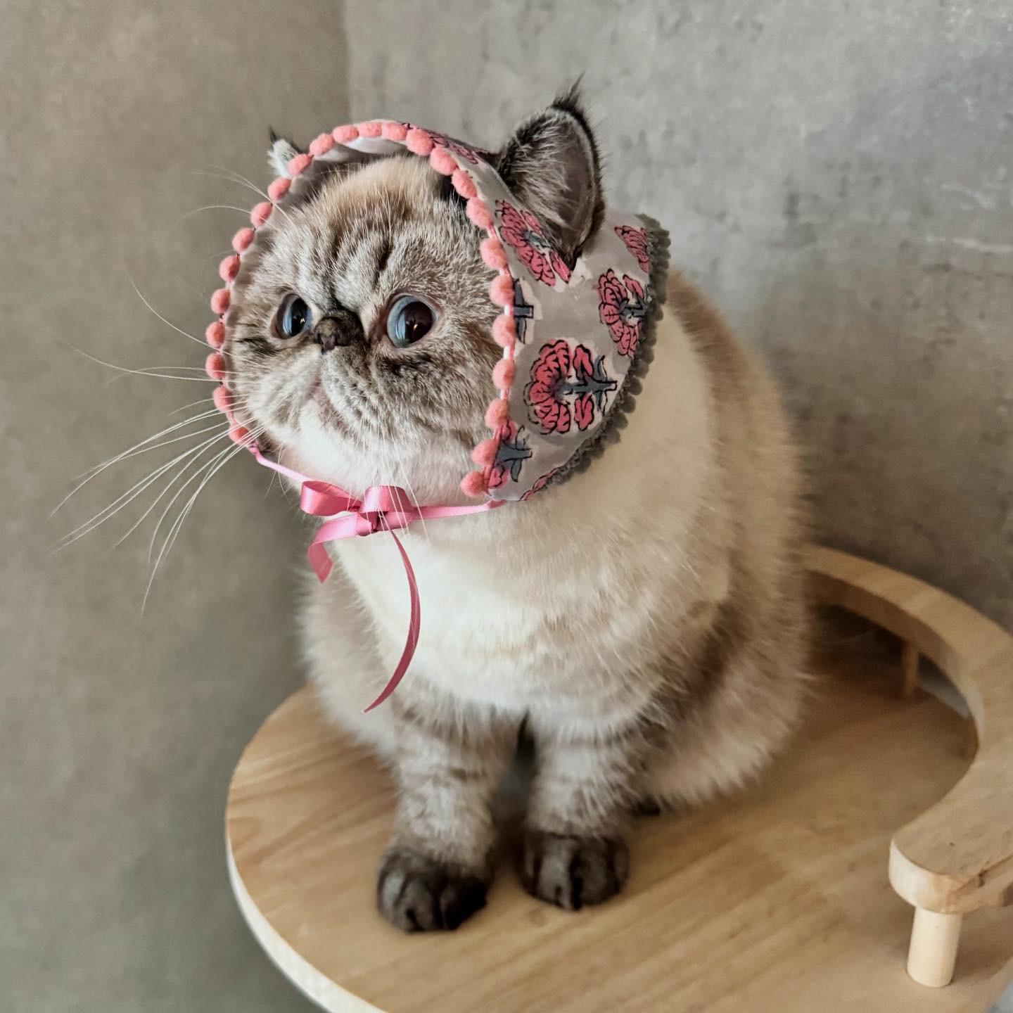 ねこのバブーシュカ【イエロー/ピンク】　三角巾　インドブロックハンドプリント